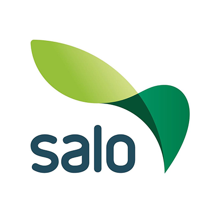 Salon kaupunki